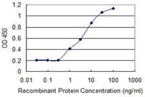 Detection limit for recombinant GST tagged RCBTB2 is 0. (RCBTB2 Antikörper  (AA 86-194))