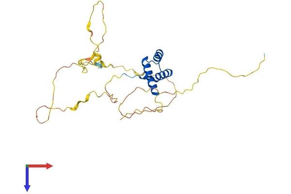 GSX1/GSH1 Protein (AA 1-264) (His tag)