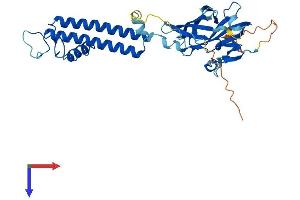 KCNJ13 Protein (AA 1-360) (His tag)