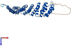 NAPG Protein (AA 1-312) (His tag)