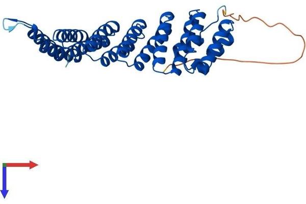 NAPG Protein (AA 1-312) (His tag)