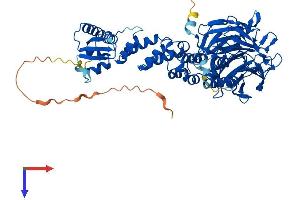 KEAP1 Protein (AA 1-624) (His tag)