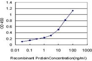 Detection limit for recombinant GST tagged HOXC12 is approximately 0. (HOXC12 Antikörper  (AA 1-100))