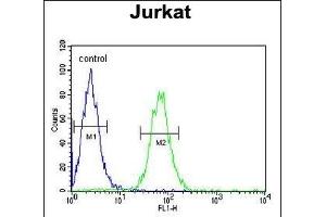 Flow Cytometry (FACS) image for anti-Protein tyrosine Phosphatase, Non-Receptor Type 11 (PTPN11) (AA 520-547), (C-Term) antibody (ABIN390840)