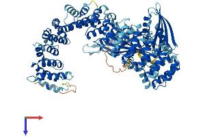 COPG Protein (AA 1-874) (His tag)