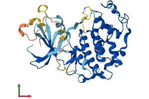 AlphaFold protein structure predicition of Human Recombinant CDK20 Protein, UniprotID Q8IZL9