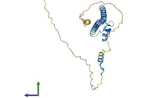 Protein Structure (PS) image for SWI5-Dependent Recombination Repair 1 (SFR1) (AA 1-245) protein (His tag) (ABIN7546117)