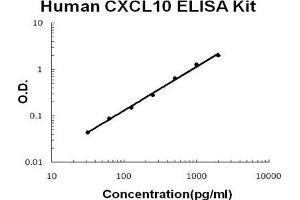 Human CXCL10/IP-10 PicoKine ELISA Kit standard curve