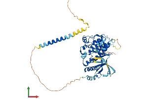 Protein Structure (PS) image for serine/threonine/tyrosine Kinase 1 (STYK1) (AA 1-429) protein (His tag) (ABIN7557939)