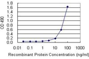 Sandwich ELISA detection sensitivity ranging from 3 ng/mL to 100 ng/mL. (HMGB1 (Human) Matched Antibody Pair)