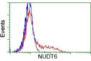 HEK293T cells transfected with either RC203470 overexpress plasmid (Red) or empty vector control plasmid (Blue) were immunostained by anti-NUDT6 antibody (ABIN2454160), and then analyzed by flow cytometry. (NUDT6 Antikörper)