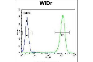 Flow cytometric analysis of WiDr cells (right histogram) compared to a negative control cell (left histogram). (TSPAN33 Antikörper  (C-Term))