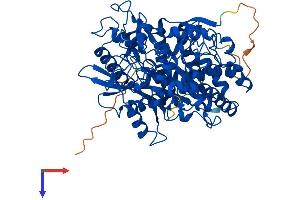 GCLC Protein (AA 1-637) (His tag)