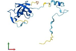AlphaFold protein structure predicition of Human Recombinant HERVK_113 Protein, UniprotID P63121 (HERVK_113 (AA 1-156) protein (His tag))