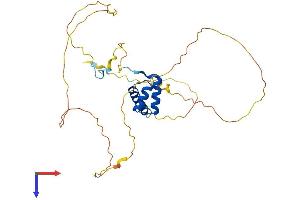 HOXB1 Protein (AA 1-301) (His tag)