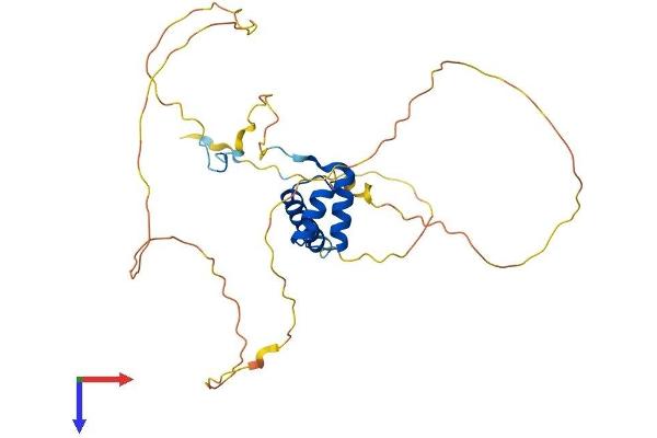 HOXB1 Protein (AA 1-301) (His tag)