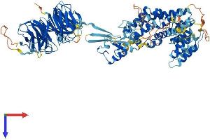 AlphaFold protein structure predicition of Mouse Recombinant Mios Protein, UniprotID Q8VE19