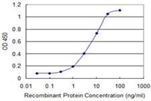 Detection limit for recombinant GST tagged TBX21 is 0. (T-Bet Antikörper  (AA 387-486))