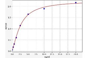 Typical standard curve