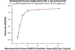 Immobilized Biotinylated Human Angiopoie 3, His,Avitag (ABIN6972943) at 1 μg/mL (100 μL/well) on Streptavidin  precoated (0.