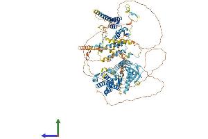 Protein Structure (PS) image for Budding Uninhibited By Benzimidazoles 1 Homolog beta (Yeast) (BUB1B) (AA 1-1050) protein (His tag) (ABIN7552686)