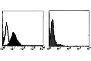 Flow Cytometry (FACS) image for anti-TNF Receptor Superfamily, Member 6 (FAS) antibody (ABIN1106612) (FAS Antikörper)