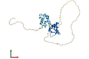 AlphaFold protein structure predicition of Mouse Recombinant Ehf Protein, UniprotID O70273