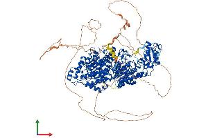 AlphaFold protein structure predicition of Human Recombinant HDAC6 Protein, UniprotID Q9UBN7
