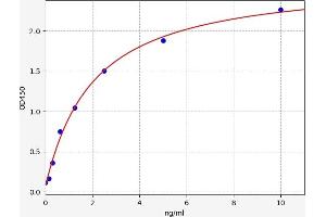 CCBL1 ELISA Kit