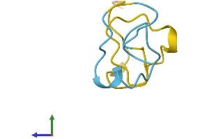 Protein Structure (PS) image for Metallothionein 4 (MT4) (AA 1-62) protein (Fc Tag) (ABIN7549564)