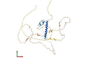 Protein Structure (PS) image for Doublesex and Mab-3 Related Transcription Factor 1 (DMRT1) (AA 1-373) protein (His tag) (ABIN7553672)