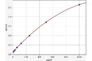 Typical standard curve (IL31RA ELISA Kit)