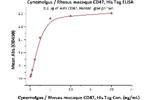 ELISA image for CD47 (CD47) (AA 19-141) (Active) protein (His tag) (ABIN5674615)