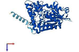 AADAC Protein (AA 1-398) (His tag)