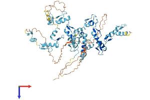 ZNF354A Protein (AA 1-605) (His tag)