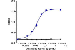 Immobilized human CSF2RB His at 2 μg/mL can bind Anti-CSF2Rb / CD131 Reference Antibody (CSL311), EC50=0.