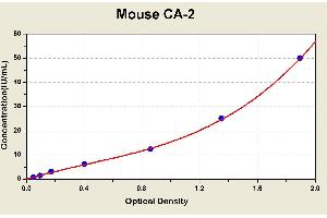 Diagramm of the ELISA kit to detect Mouse CA-2with the optical density on the x-axis and the concentration on the y-axis.