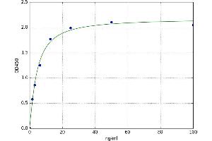 Lipase H (LIPH) ELISA Kit