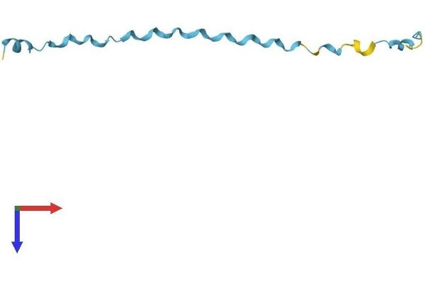 SPRR2E Protein (AA 1-76) (Fc Tag)