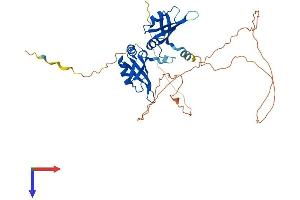 HNRNPA3 Protein (AA 1-379) (His tag)