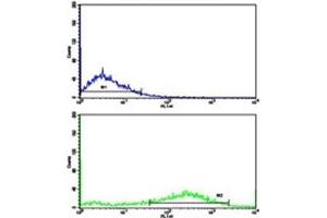 Flow Cytometry (FACS) image for anti-Fascin (FSCN1) (AA 322-350) antibody (ABIN3028650)