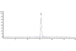 The purity of Anti-CD47 Reference Antibody (lemzoparlimab) is 100 % , determined by SEC-HPLC. (Rekombinanter CD47 (Lemzoparlimab Biosimilar) Antikörper)