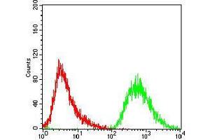 Flow cytometric analysis of A431 cells using PDK2 mouse mAb (green) and negative control (red). (PDK2 Antikörper  (AA 178-404))