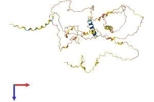 Fibrosin Protein (FBS) (AA 1-460) (His tag)