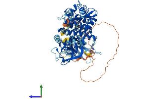 Protein Structure (PS) image for Spleen tyrosine Kinase (SYK) (AA 1-635) protein (His tag) (ABIN7554389)