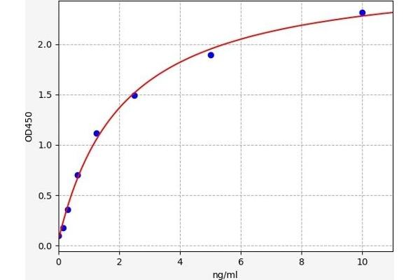 DNASE1 ELISA Kit