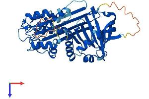 SERPINB4 Protein (AA 1-390) (His tag)