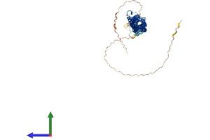 Protein Structure (PS) image for Tektin 5 (TEKT5) (AA 1-557) protein (His tag) (ABIN7562158)