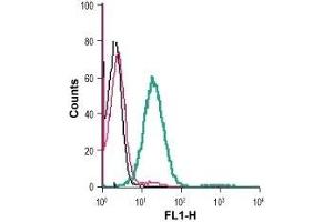 Cell surface detection of CD73 in live intact human Jurkat T-cell leukemia cells: (black line) Cells. (CD73 Antikörper  (Extracellular, N-Term))