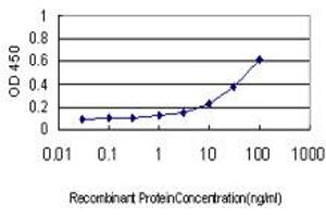 Detection limit for recombinant GST tagged NME1 is approximately 1ng/ml as a capture antibody. (NME1 Antikörper  (AA 1-152))